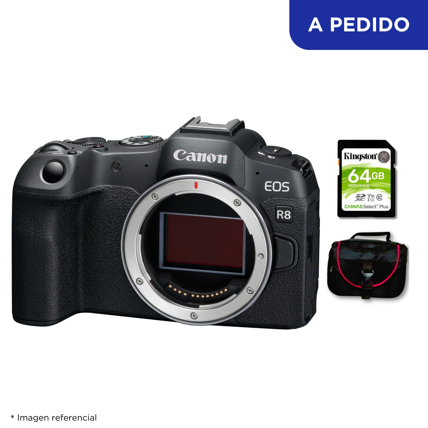 Cámara Canon EOS R8 + Kit Básico de Accesorios